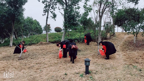 我們的節(jié)日：三八婦女節(jié)，賢母園開展活動(dòng)